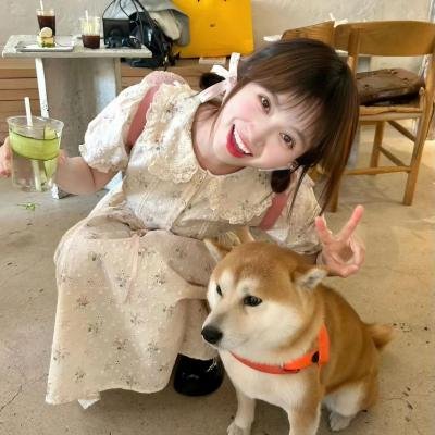 当四叶草碰上剑尖时粤语